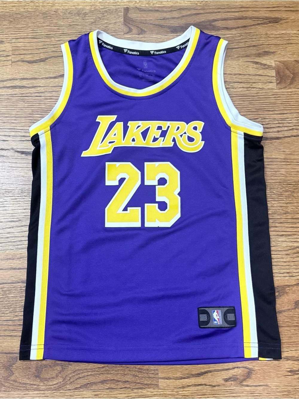 LeBron James Lakers #23 Jersey Youth Medium Purple Fanatics NBA Basketball